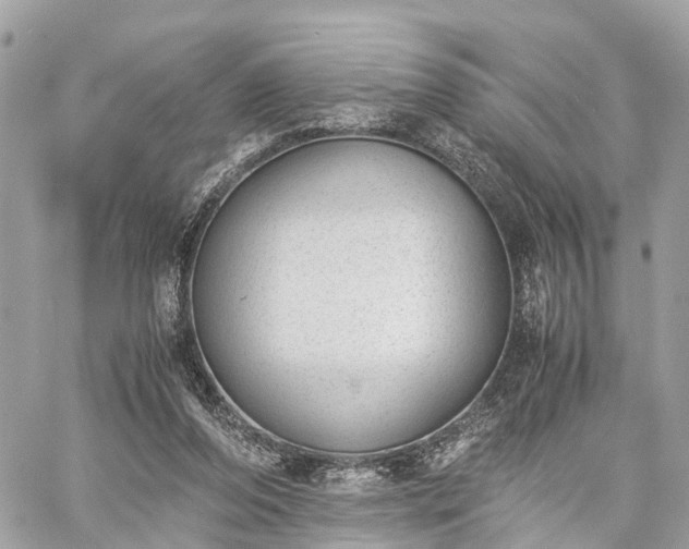 X0000060800208200511141448