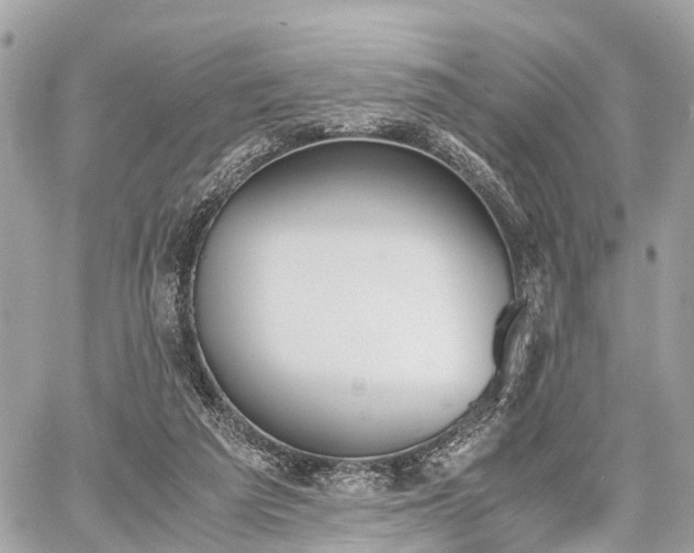 X0000060800209200511141448