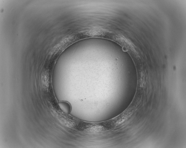 X0000060800210200511141448