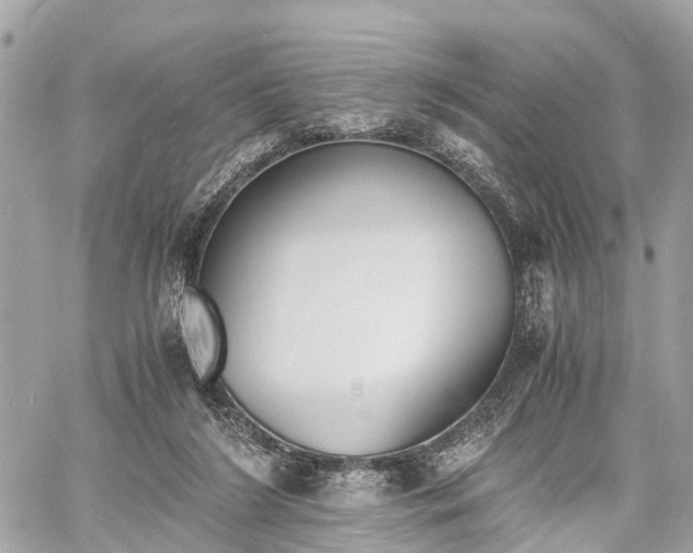 X0000060800212200511141448