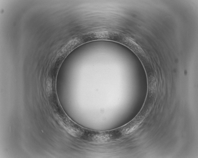 X0000060800213200511141448