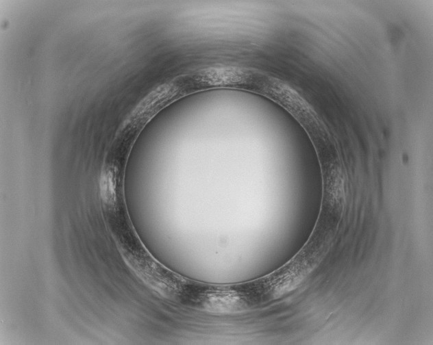 X0000060800214200511141448