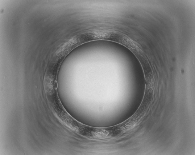 X0000060800215200511141448