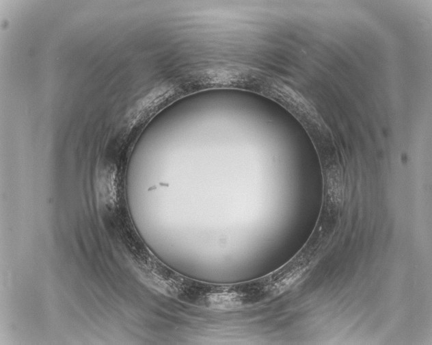 X0000060800216200511141448