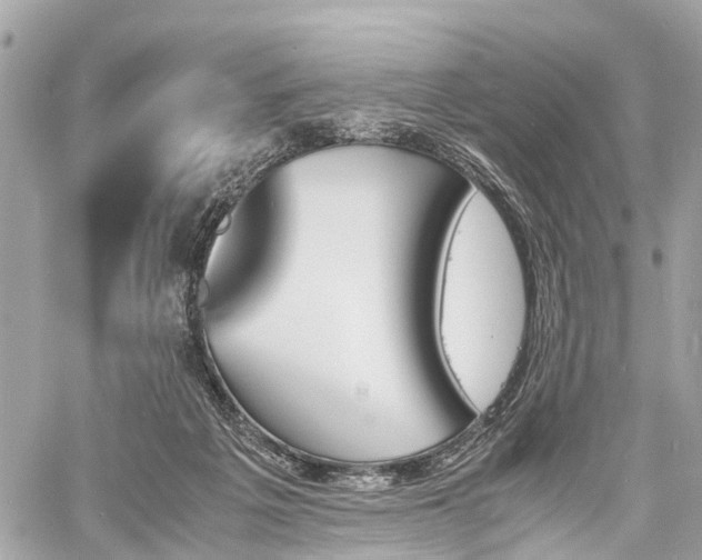 X0000060800217200511141448