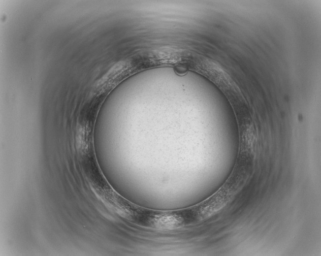 X0000060800218200511141448