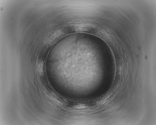 X0000060800219200511141448