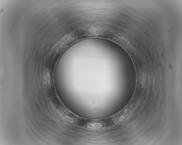 X0000060800220200511141448