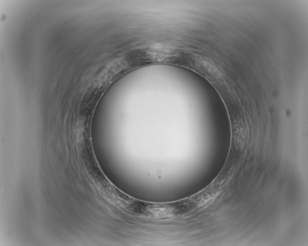 X0000060800221200511141448