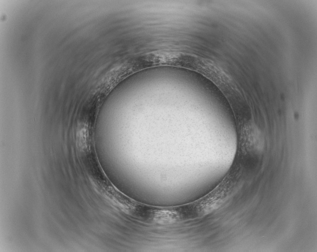 X0000060800222200511141448