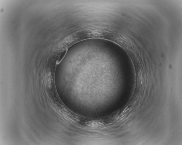 X0000060800223200511141448