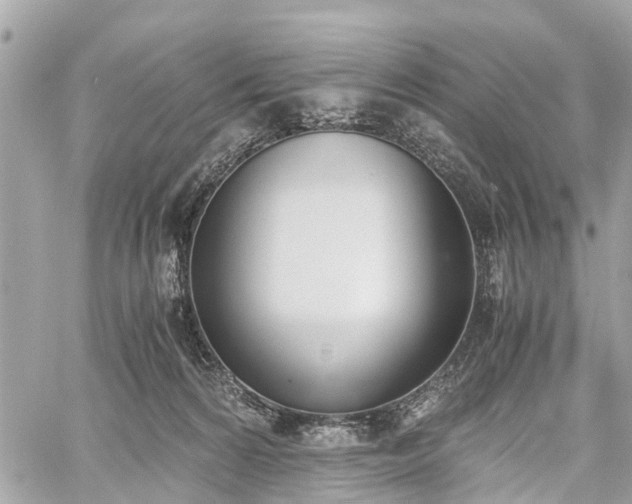 X0000060800224200511141448