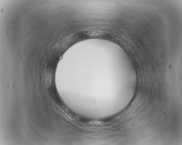 X0000060800227200511141448