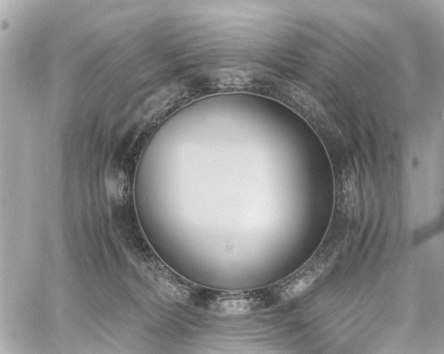 X0000060800228200511141448