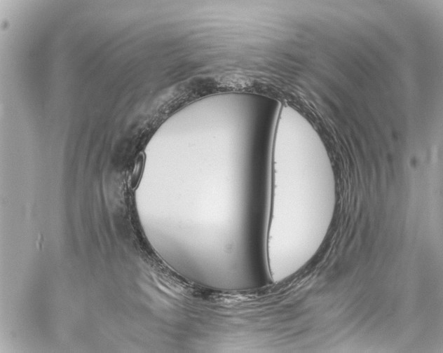 X0000060800229200511141448