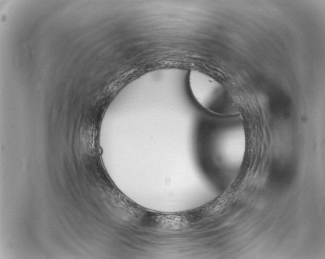 X0000060800230200511141448