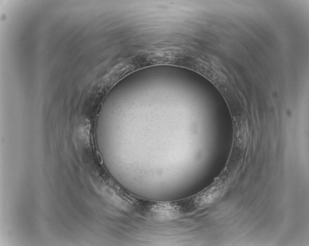 X0000060800231200511141448