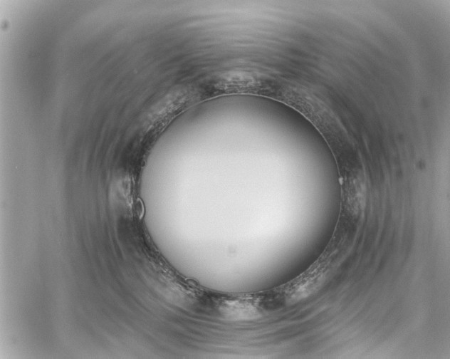 X0000060800232200511141448