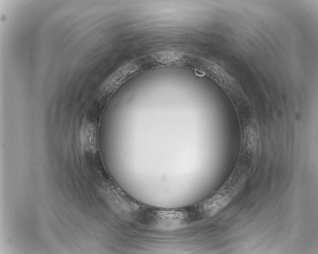 X0000060800234200511141448