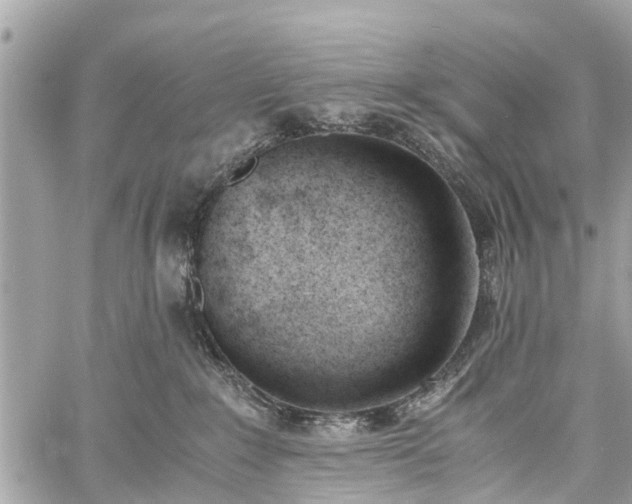 X0000060800235200511141448