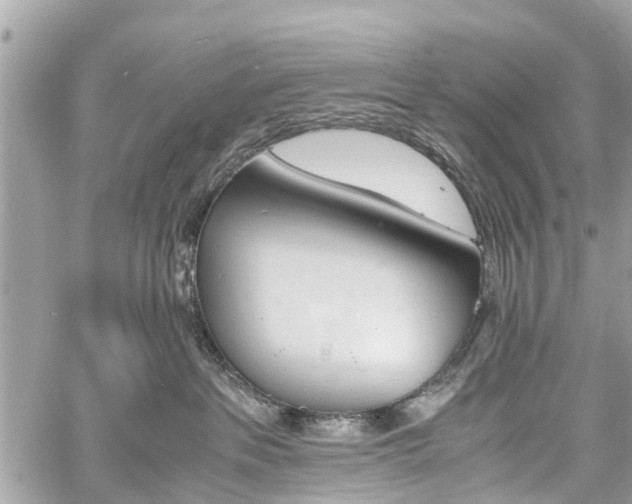 X0000060800237200511141448