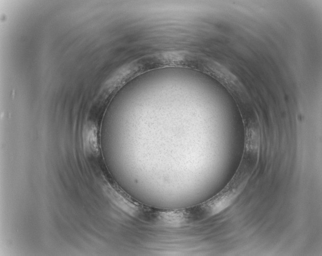 X0000060800238200511141448