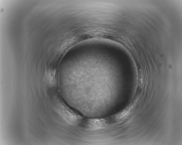 X0000060800239200511141448