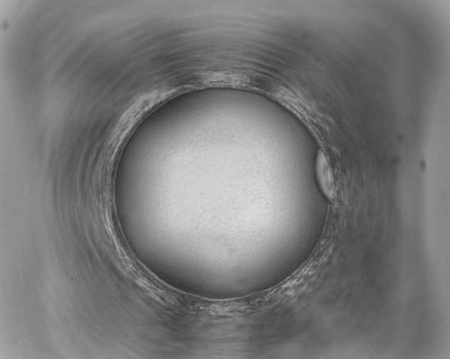 X0000060800241200511141447