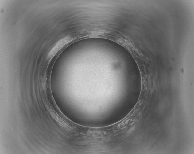 X0000060800242200511141447