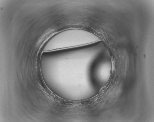 X0000060800243200511141447