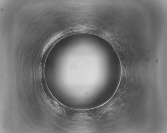 X0000060800244200511141447