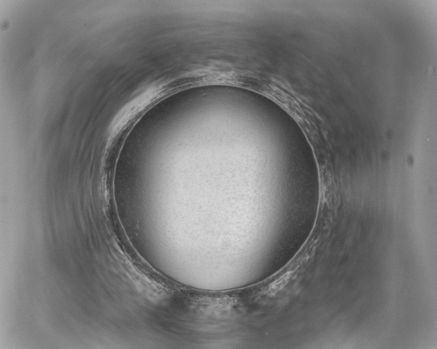 X0000060800245200511141447