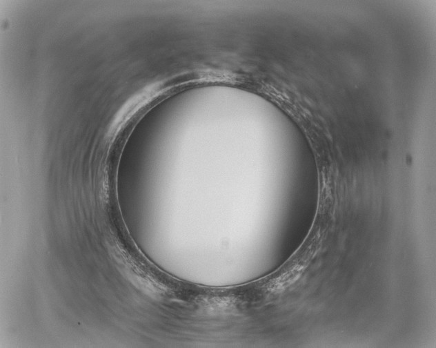 X0000060800247200511141447