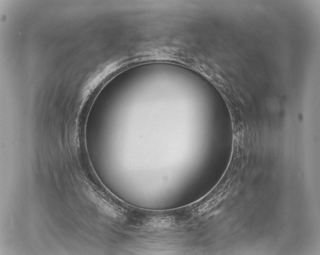 X0000060800248200511141447