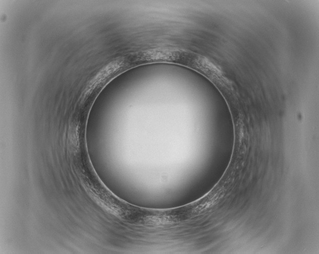 X0000060800250200511141447