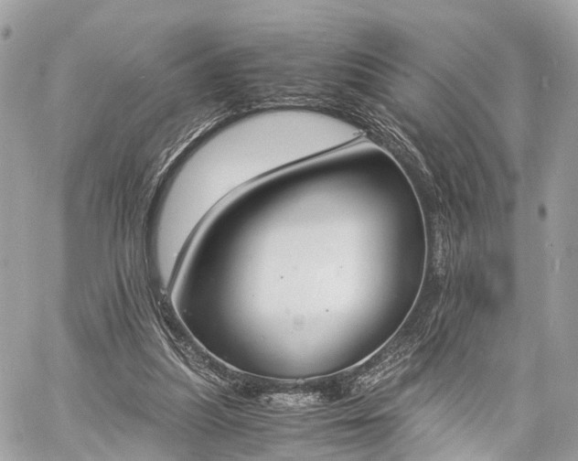 X0000060800251200511141447