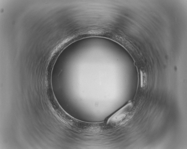 X0000060800252200511141447