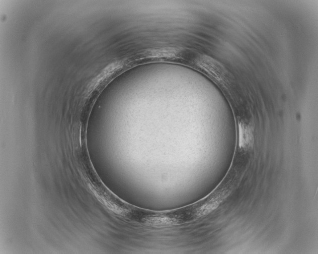 X0000060800253200511141447