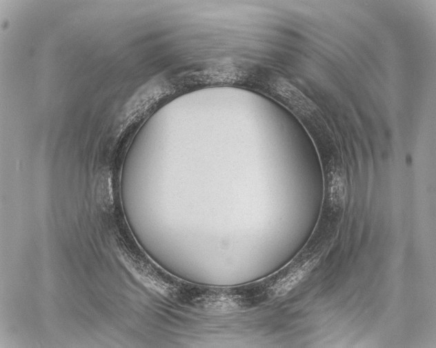 X0000060800254200511141447