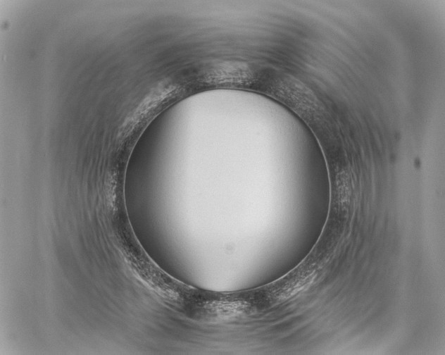 X0000060800255200511141447