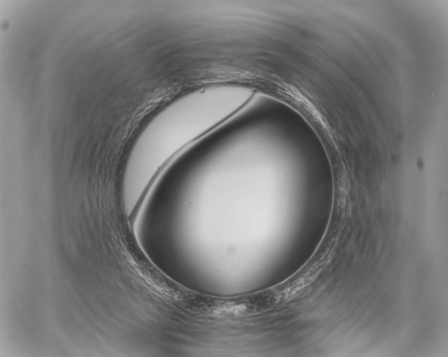 X0000060800257200511141447