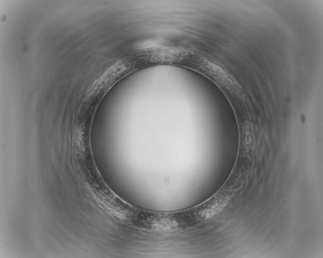 X0000060800258200511141447