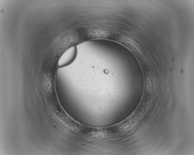 X0000060800259200511141447