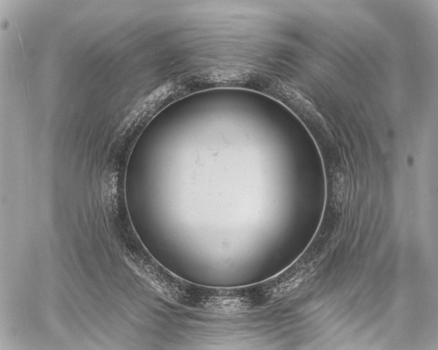 X0000060800260200511141447