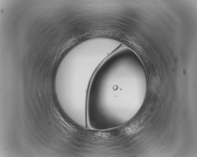 X0000060800261200511141447