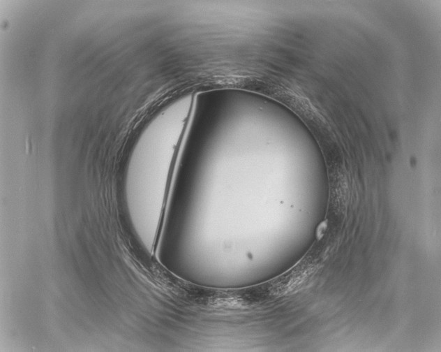 X0000060800262200511141447