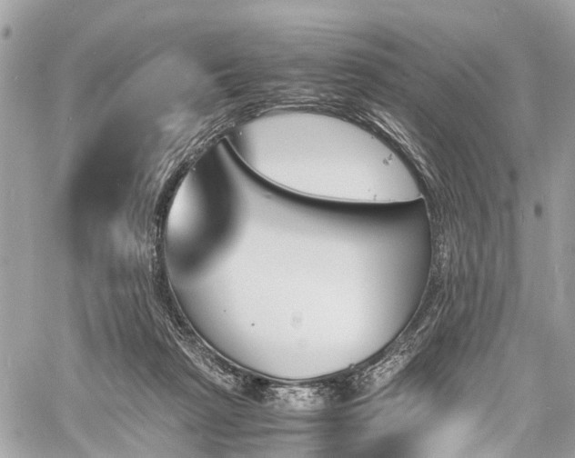 X0000060800265200511141448