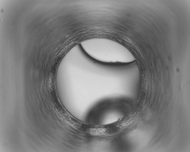 X0000060800266200511141448