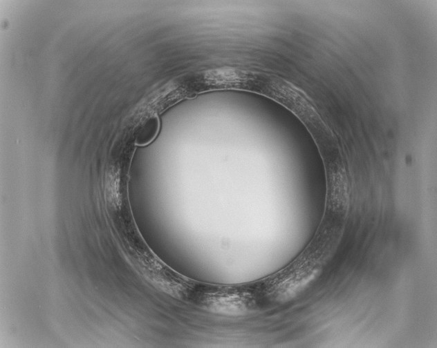 X0000060800267200511141448