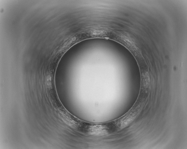 X0000060800269200511141448